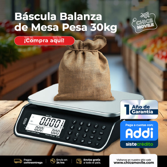 Balanza Liquidadora Rochi Sistema POS